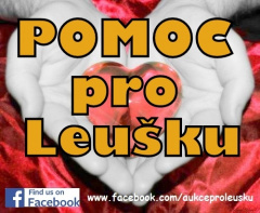 Aukce pro Leušku zahájena