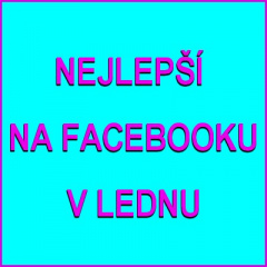 Co se nejvíce líbilo na facebooku v lednu