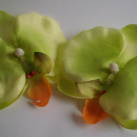 Orchidej květ - sv. zelená 2 ks