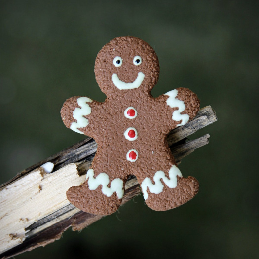 Gingerman