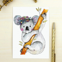 Pohlednice koala