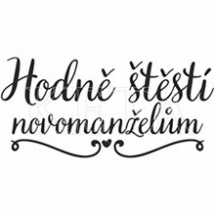 Hodně štěstí novomanželům č. 875 - gumové razítko na dřevě (1ks) (KETA_875)
      